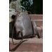 Рюкзак BABAK 879051 коричневий